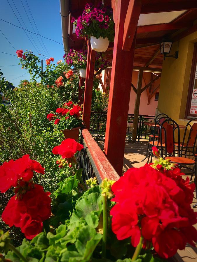 Villa Negra Motel Berzence Ngoại thất bức ảnh